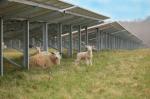 Barnard Castle Solar Farm